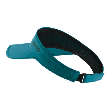 Running Visor CEP - 11