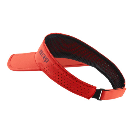 Running Visor CEP - 16